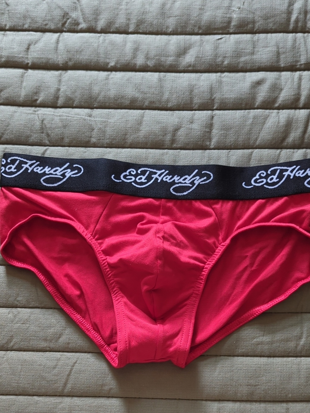 Ed Hardy Red Briefs with Black Logo Waistband